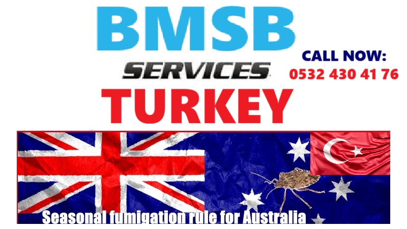 AVUSTRALYA YENİ ZELANDA